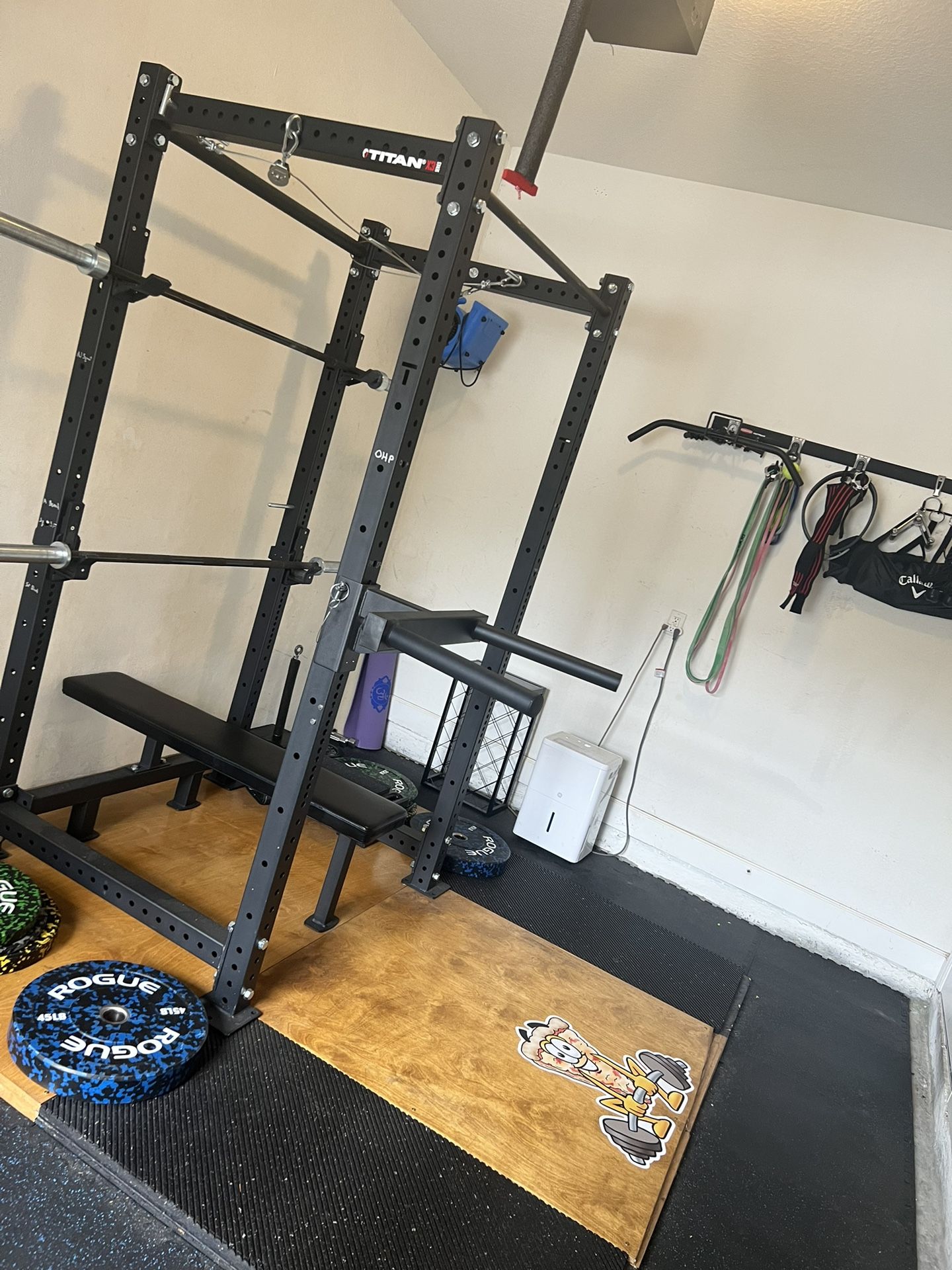 Titan Fitness Y Dip Bar