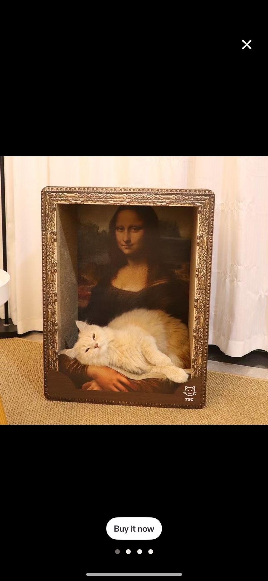 Luxury Artistic Cat Scratcher (New)