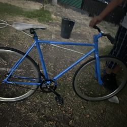 Fixie Bike