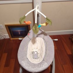 Graco Baby Swing 
