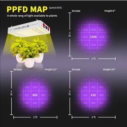1000w KINGLED grow light