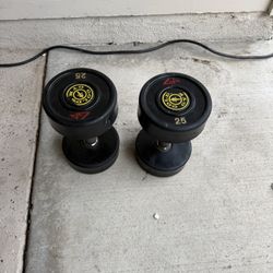 25lb Dumbbells