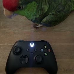 Xbox One Series X/S Controller 