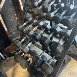 5LB To 50LB Dumbells With Dumbell Racket Holder