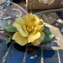 Yellow Rose