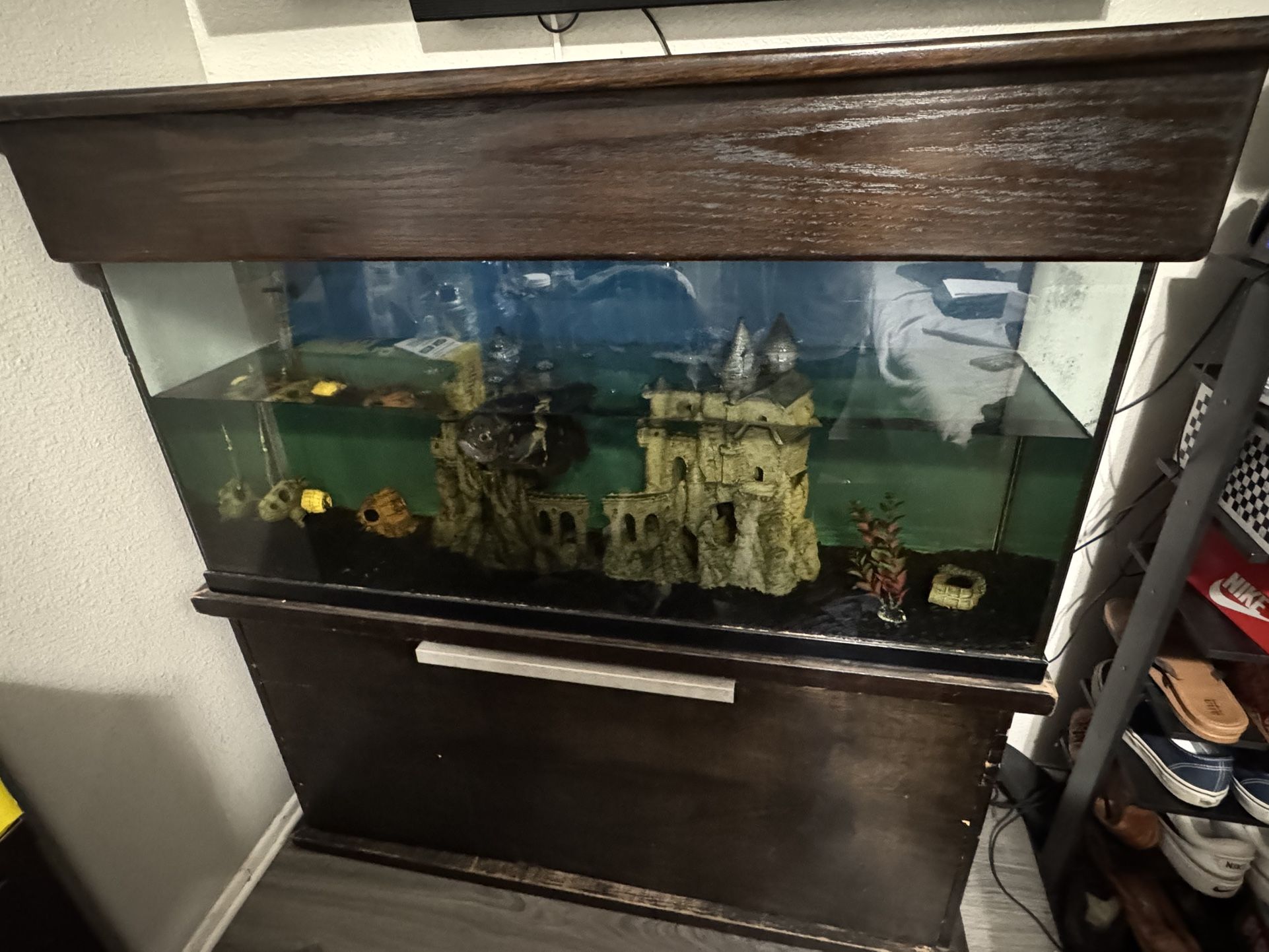 60 Gallon Fish Tank $200 Obo