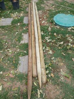 Wood Stakes