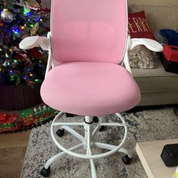 Brand New Primy Ergonomic chair with lumbar support