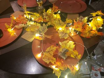 Light up garland with 2 modes