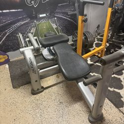 Life fitness Ab Crunch 