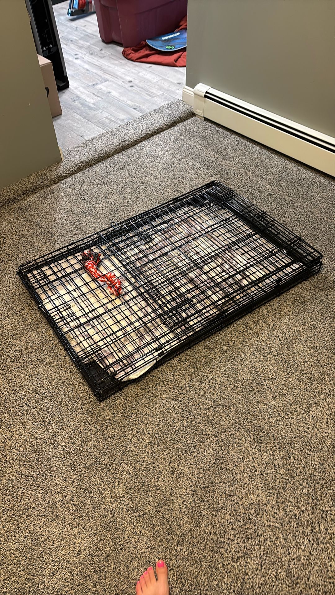 Big Breed Dog Kennel