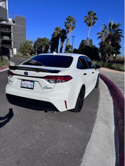 Clean