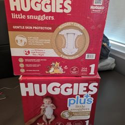  Price Firm Includes Both Boxes #1 Huggies Diapers # 1 Baby
