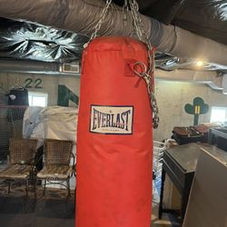 Everlast Boxing Bag 