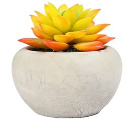 Mainstays Artificial Succulent