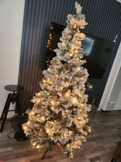 Christmas 🎄