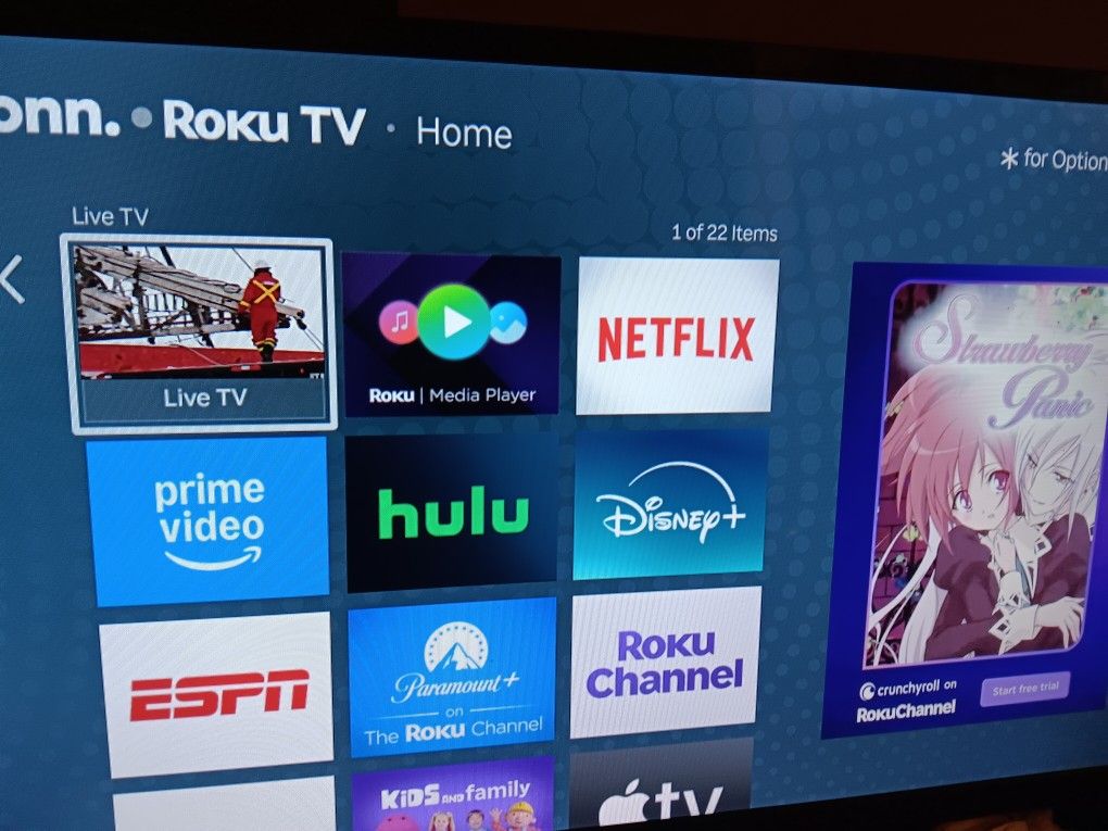32 Inch Onn Roku With Remote