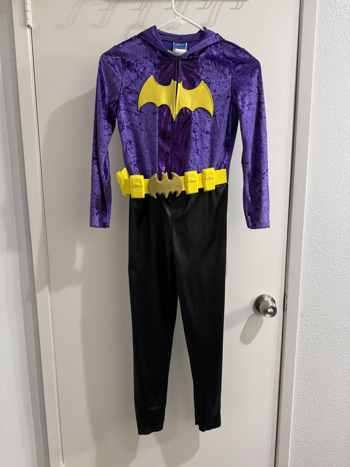 Dc Super Hero Costume 