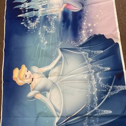 Cinderella Backdrop 