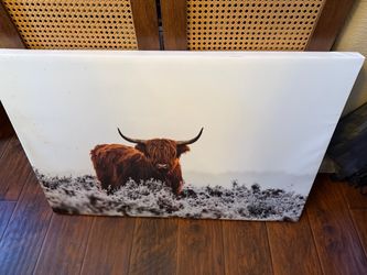 Cow wall canvas