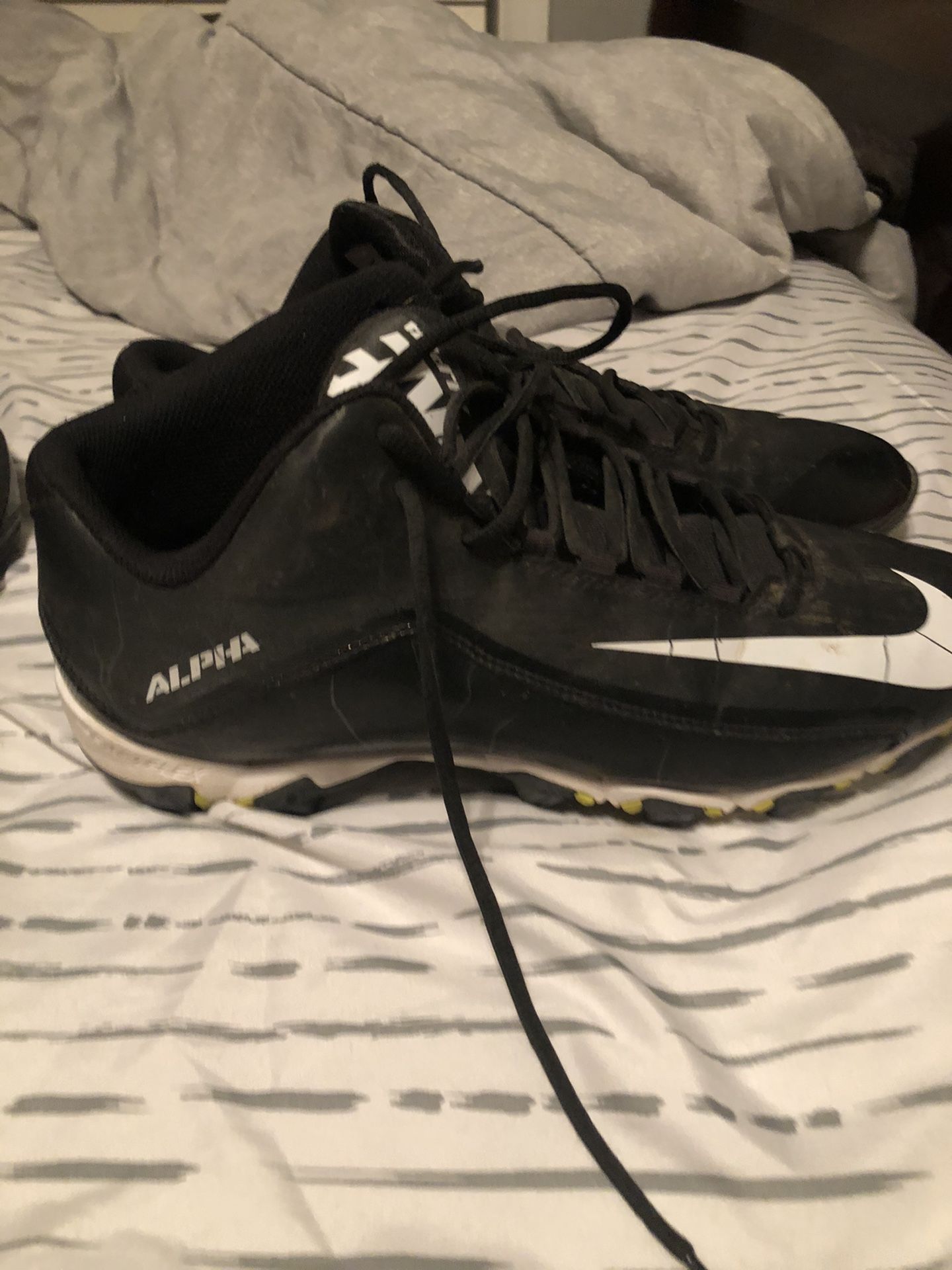 Alpha sharks