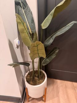 Fake indoor plant