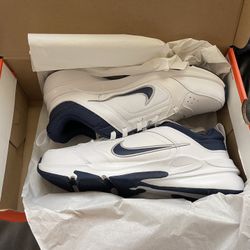 Nike Shoes Defy all Day