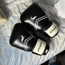 12 Ounce Boxing Gloves New!