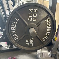 Standard Rogue Olympic steel Plates