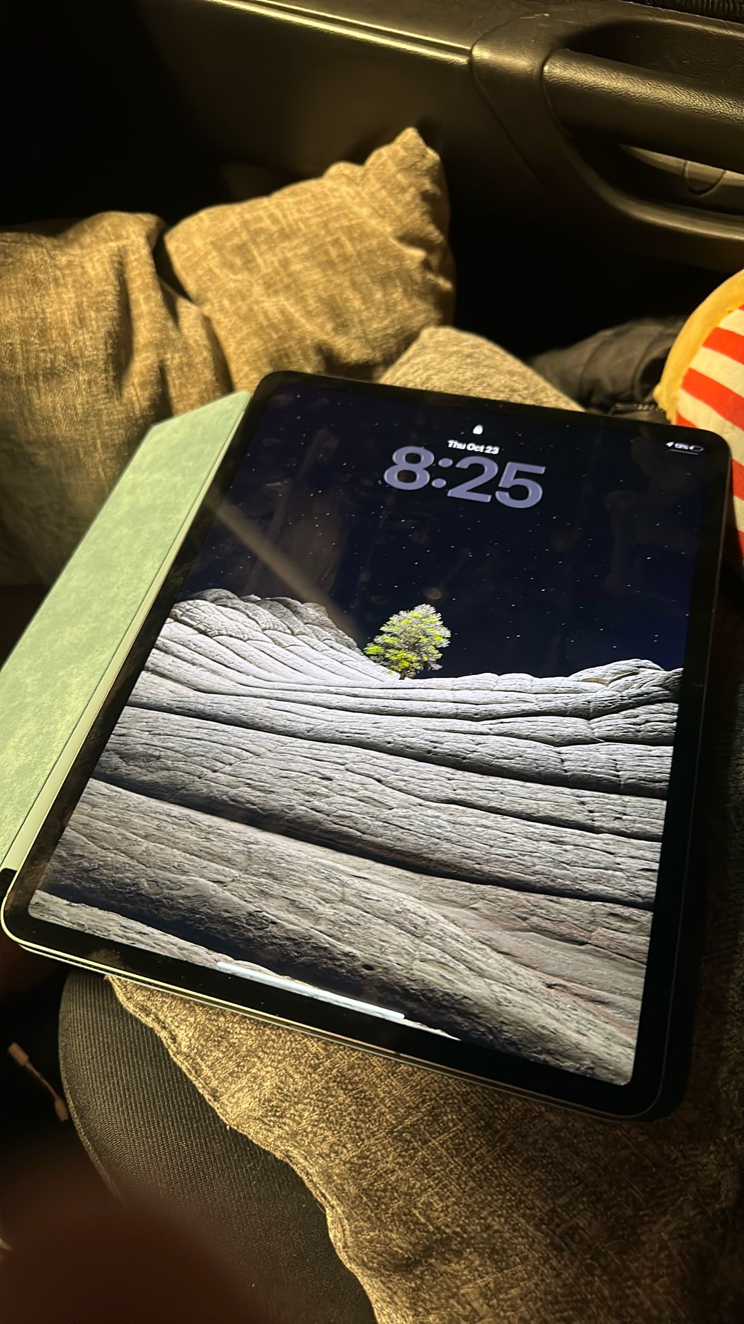 Apple iPad Pro 4th Generation 12.9” 1TB Grey