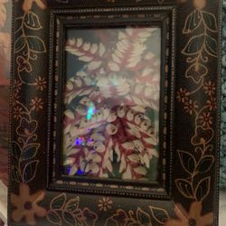 Photograph Of Live Plant Aechmea weilbachii