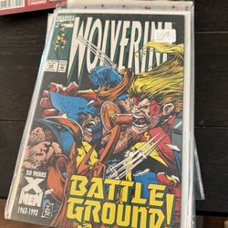 Wolverine Battleground