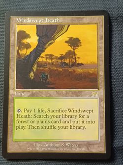 Magic the gathering, onslaught, windswept heath