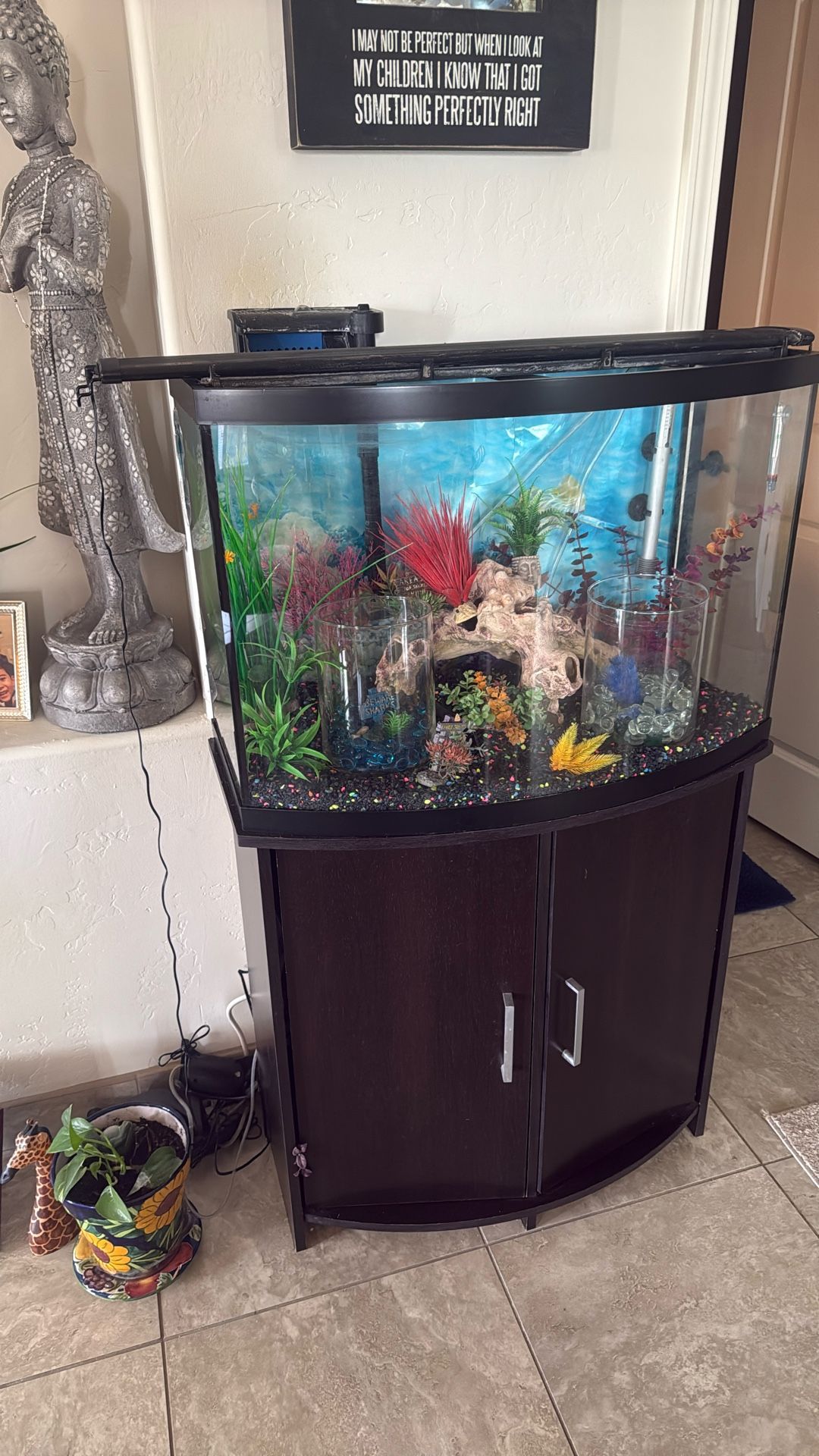 Fish aquarium