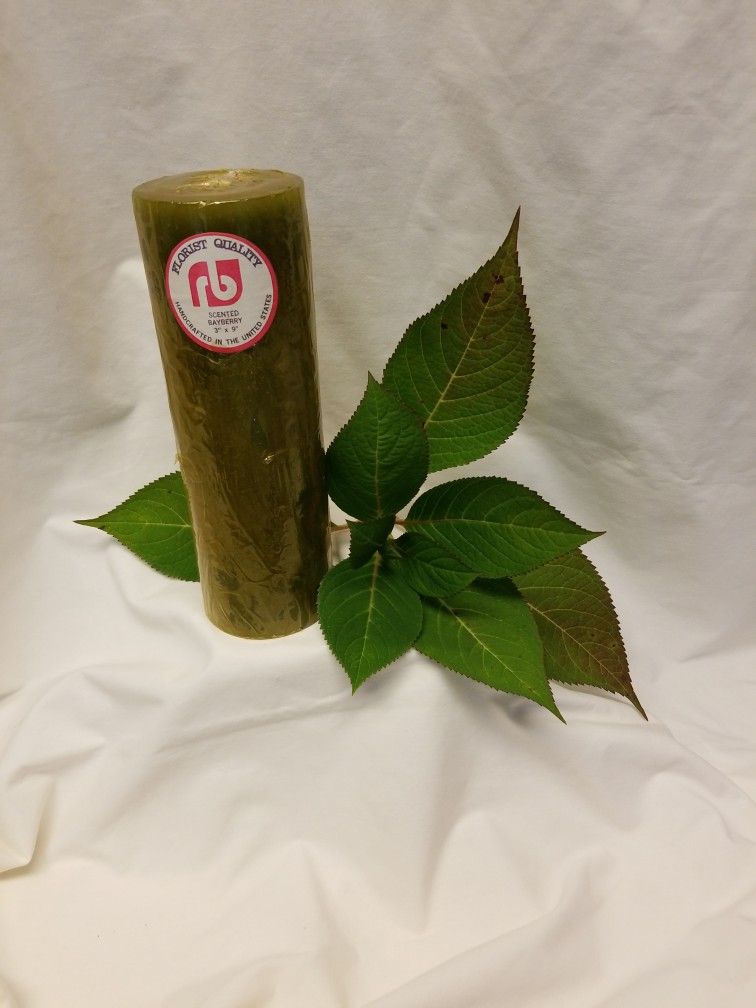 Bayberry Pillar candle