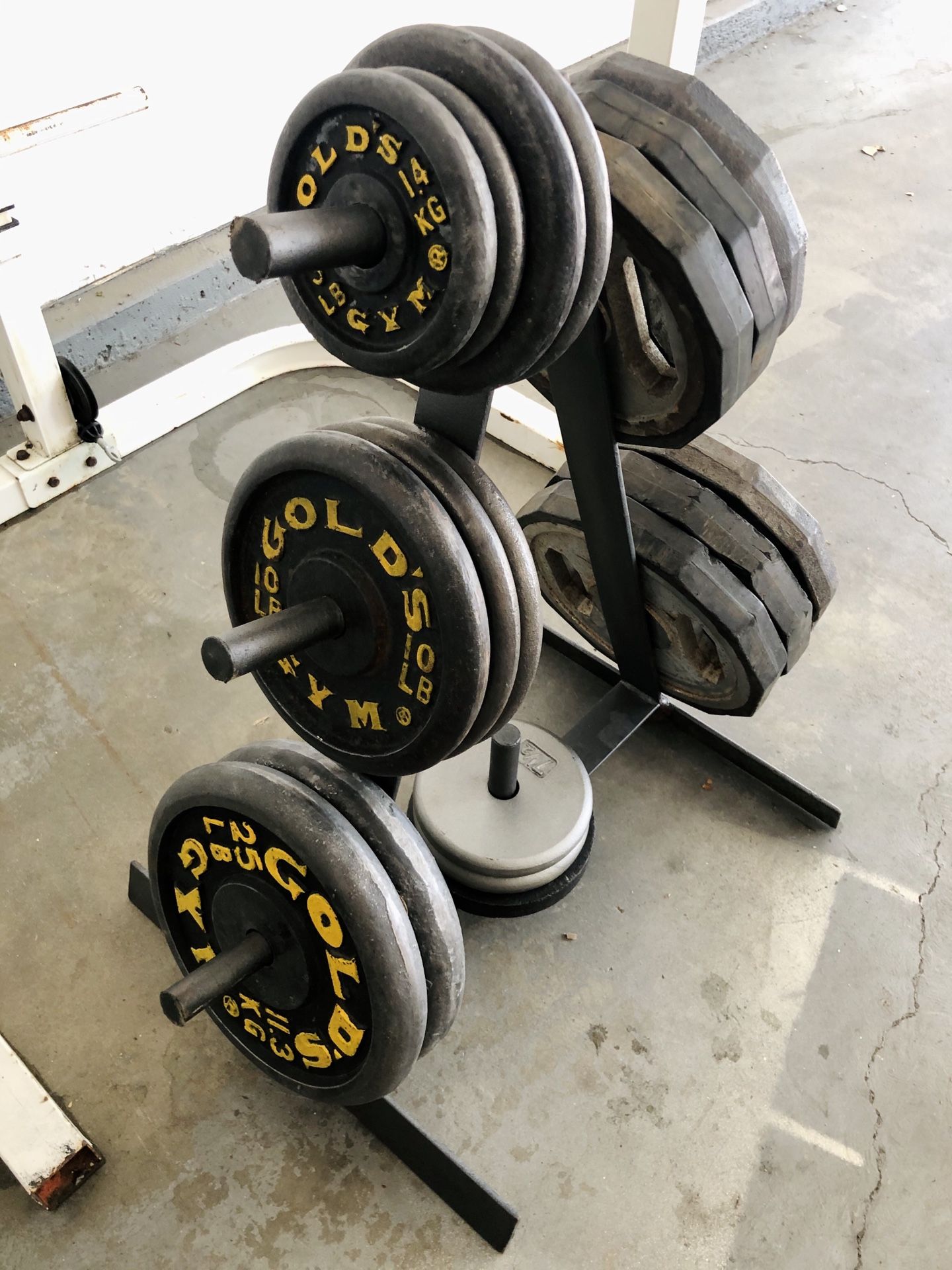 Weider Pro 355 squat rack with weights, 6 foot barbell, 4 foot curl bar