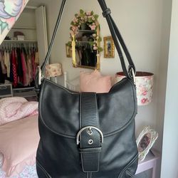 Vintage Coach body
