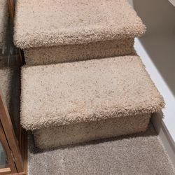Pet Steps Small-Medium Sized Pets