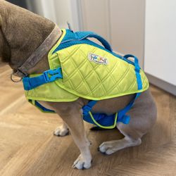 Outward Hound Standley Sport Green Performance Dog Life Jacket, Large