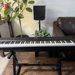 Donner Keyboard 