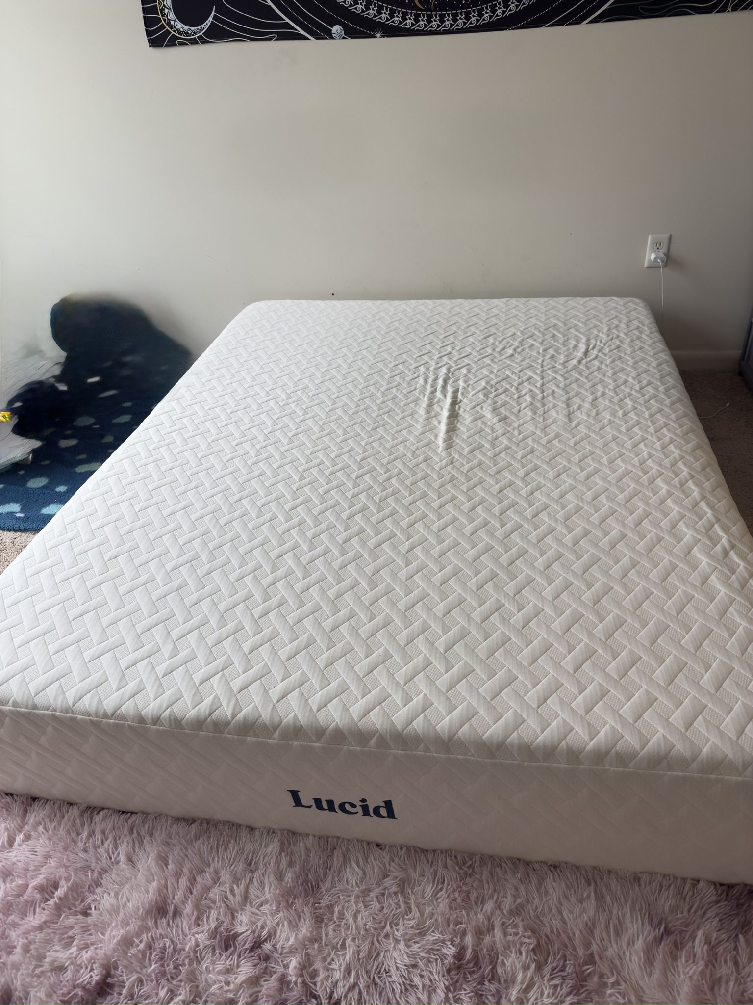 Lucid Comfort 12'' Plush Gel
