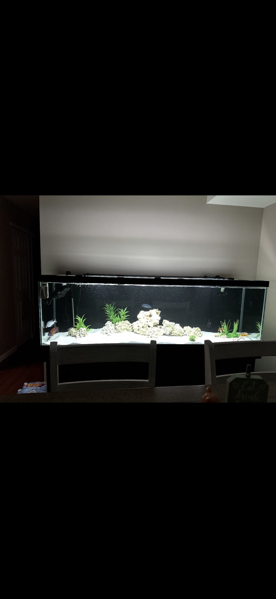 135 Gallon Fish Tank With Stand