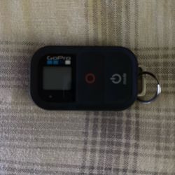 GoPro Wi-Fi Remote (GoPro Official Accessory)