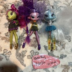 Novi Star Dolls