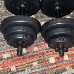 20 Pound Weights 