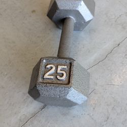 25 Pound Metal Weight