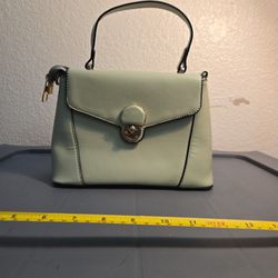 Small Pale Green Handbage