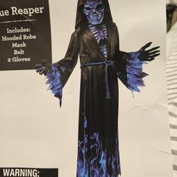 Blue Reaper Custome