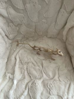 Plastic Rat Skeleton Halloween Decoration