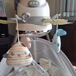 Newborn Swing